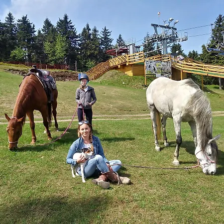 Gryglowka Отель типа 